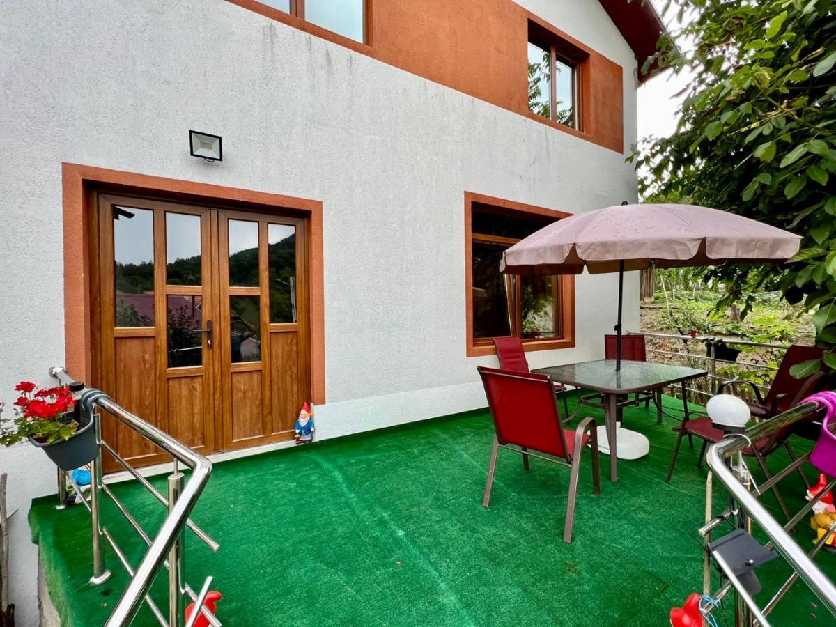 Casa Camelia Vila Nehoiu Exterior foto