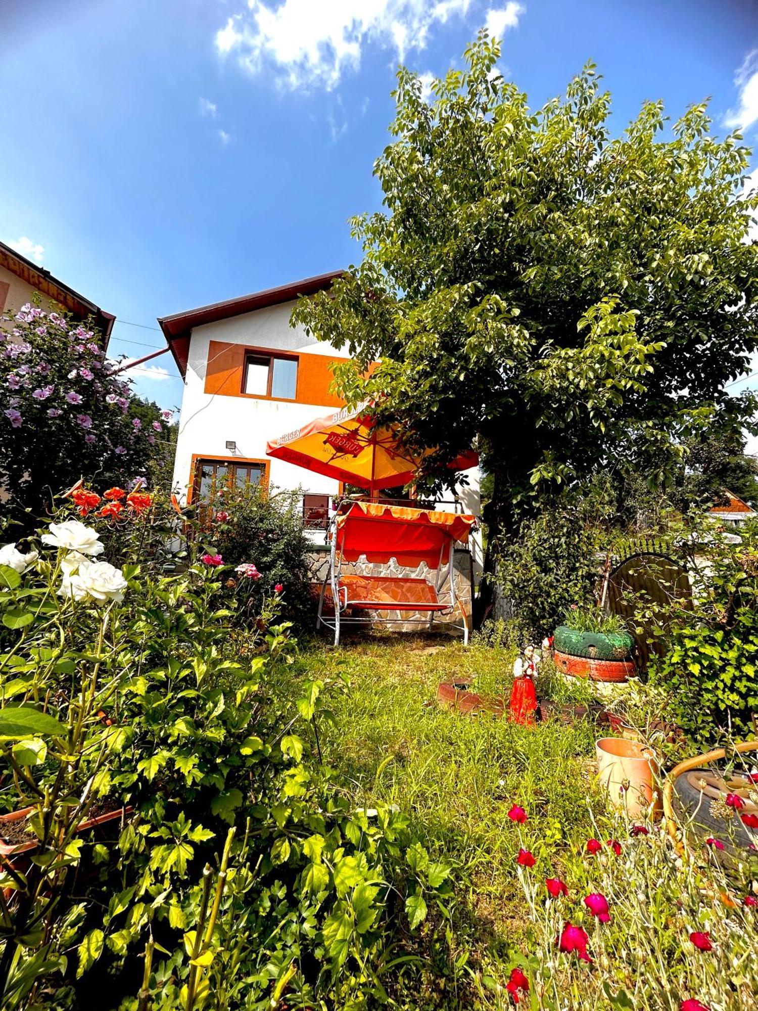Casa Camelia Vila Nehoiu Exterior foto