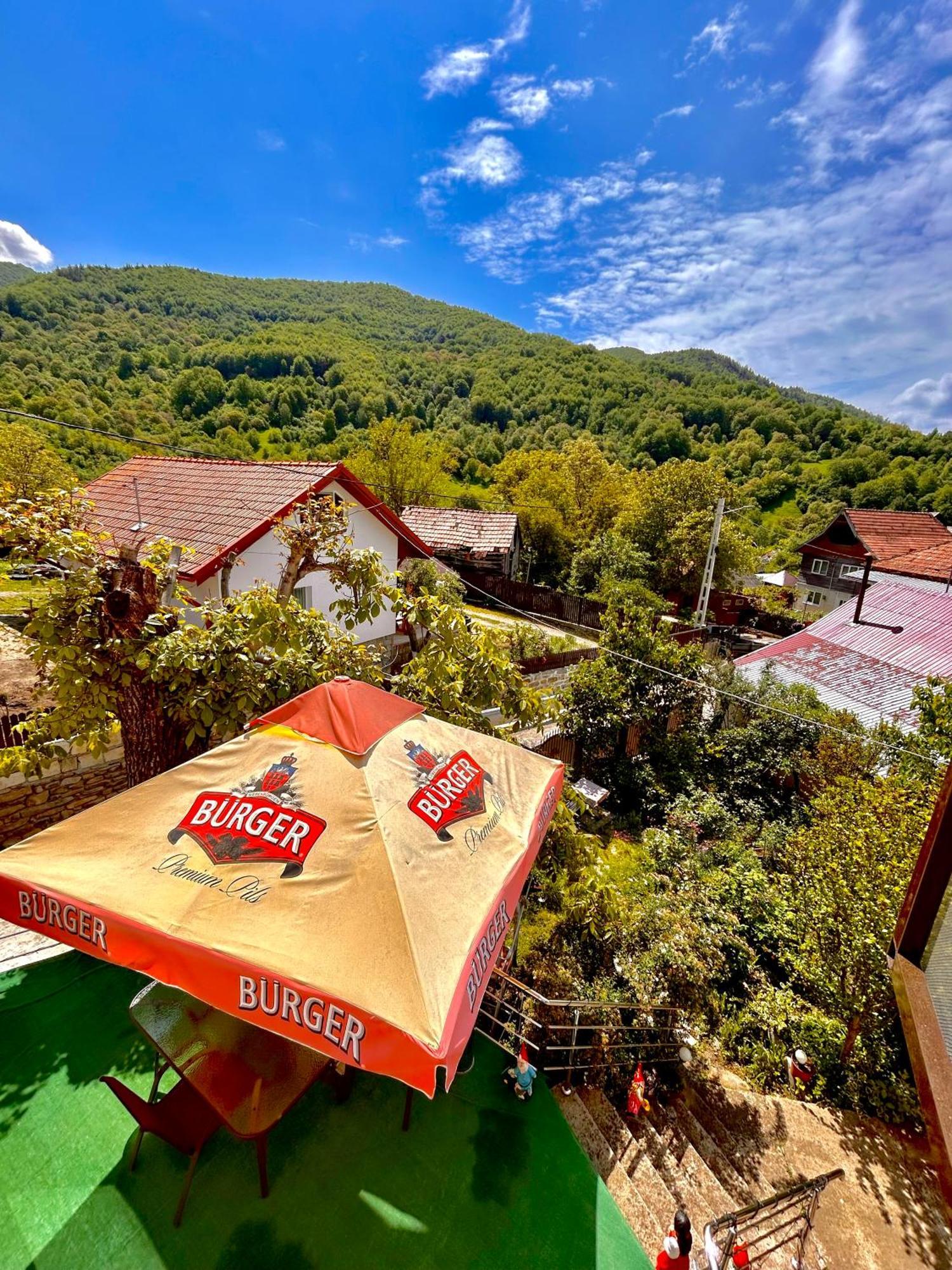 Casa Camelia Vila Nehoiu Exterior foto